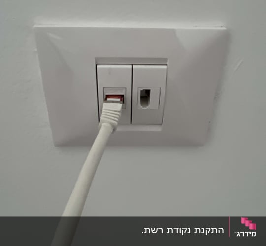 שקע רשת עם כבל מחובר לקיר